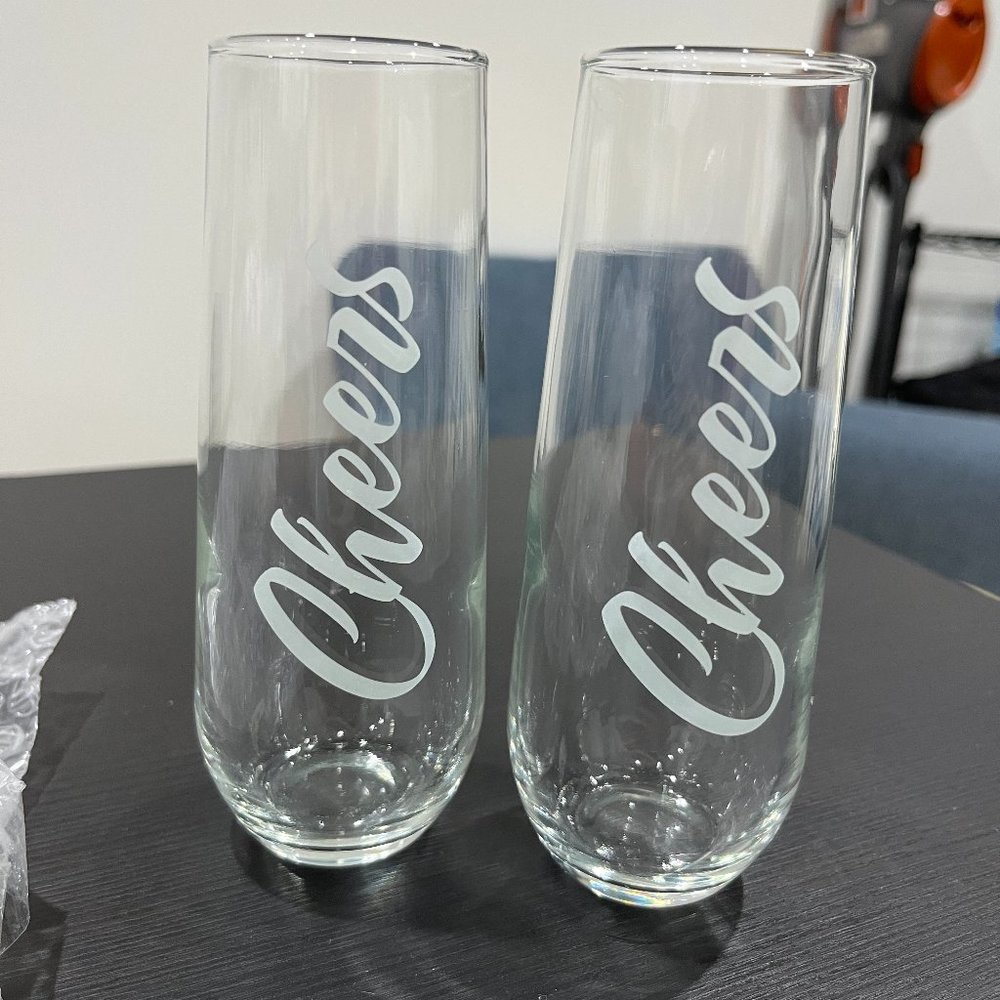 9oz Cheers Champagne Glass Chute Pair (Brand New)